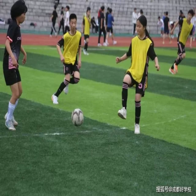 网球红土赛程观察：深度解析第303组的精彩对决